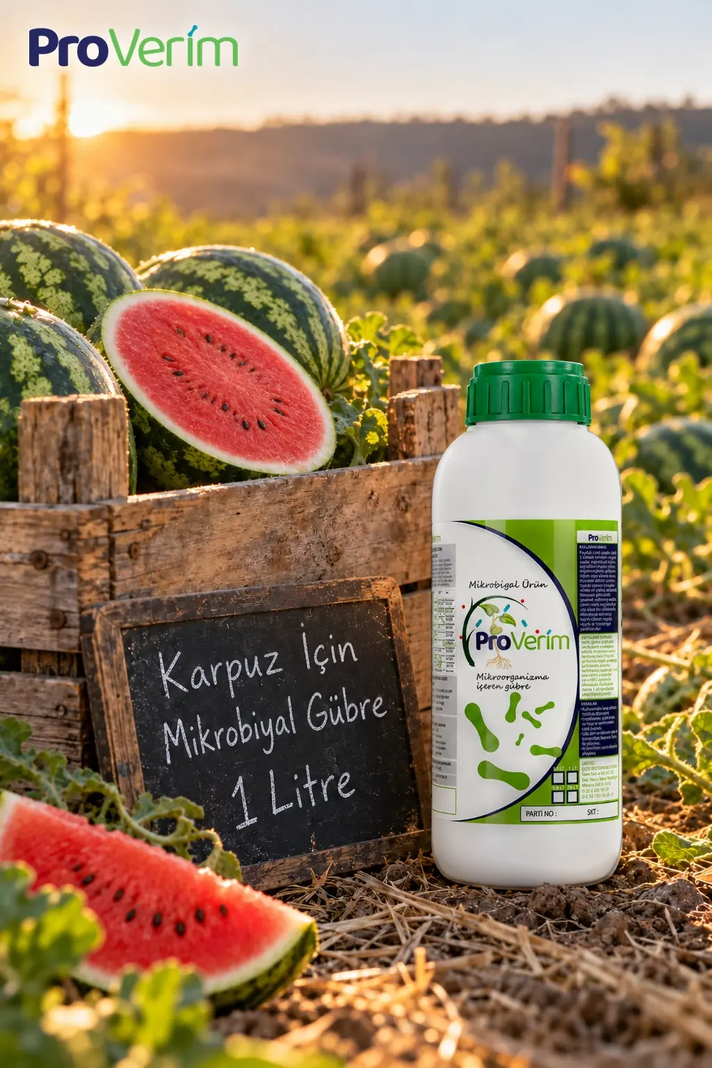 Karpuz için Mikrobiyal Gübre