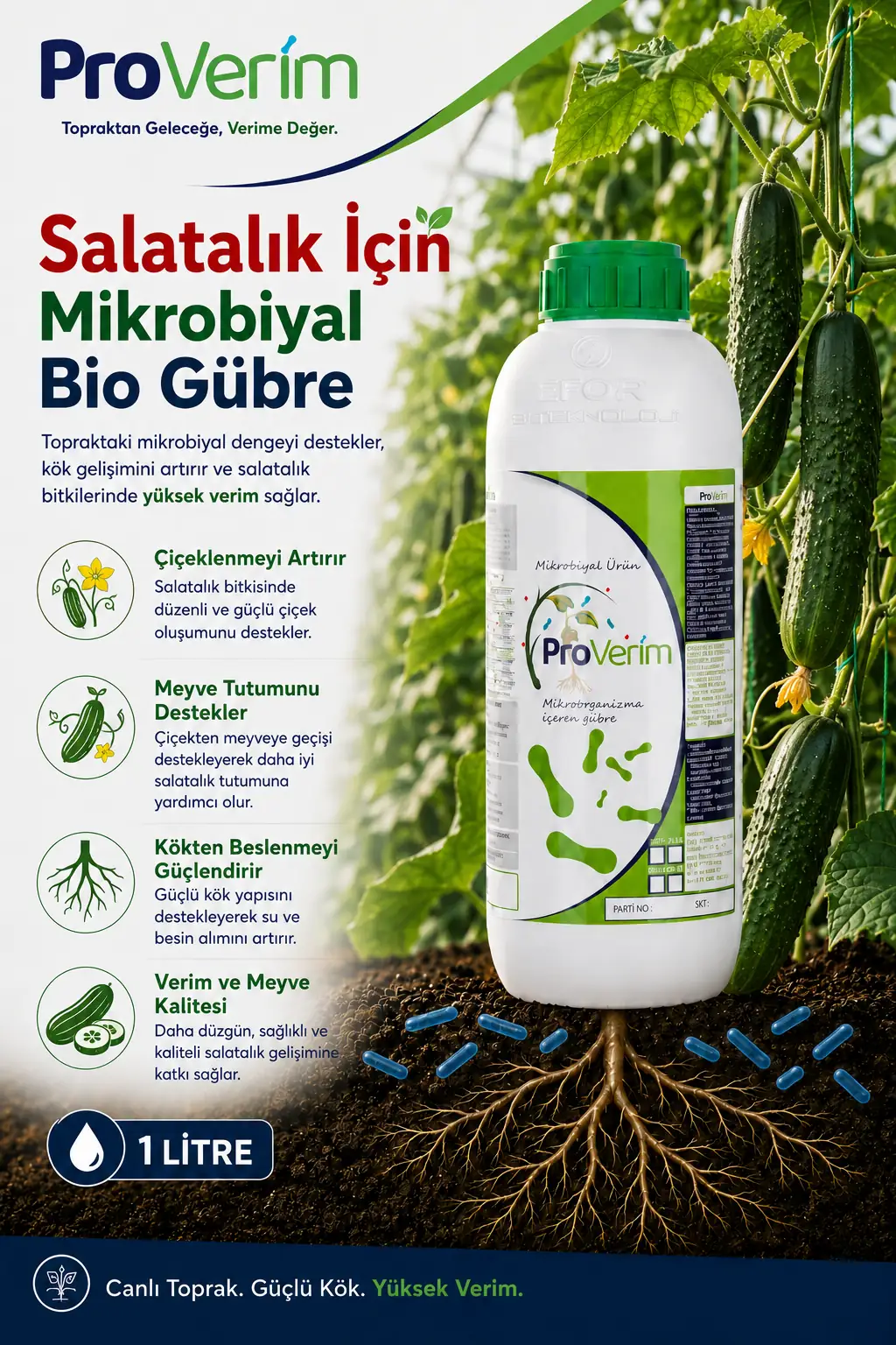 Salatalık için Proverim 1 L