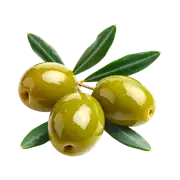 Zeytin