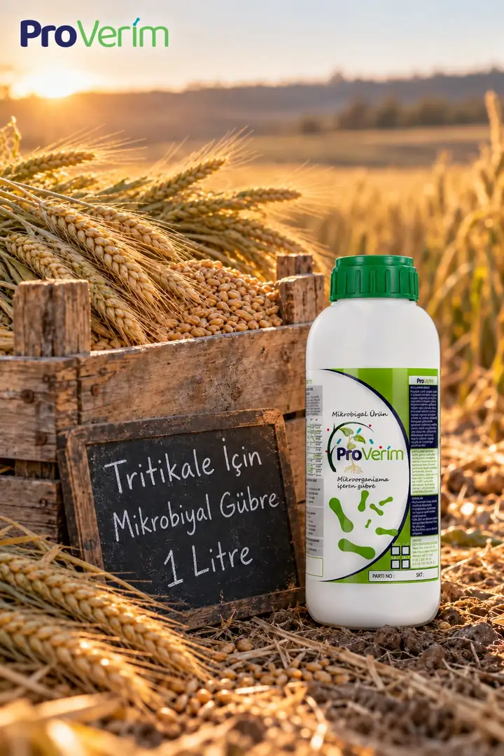 Tritikale için Mikrobiyal Gübre