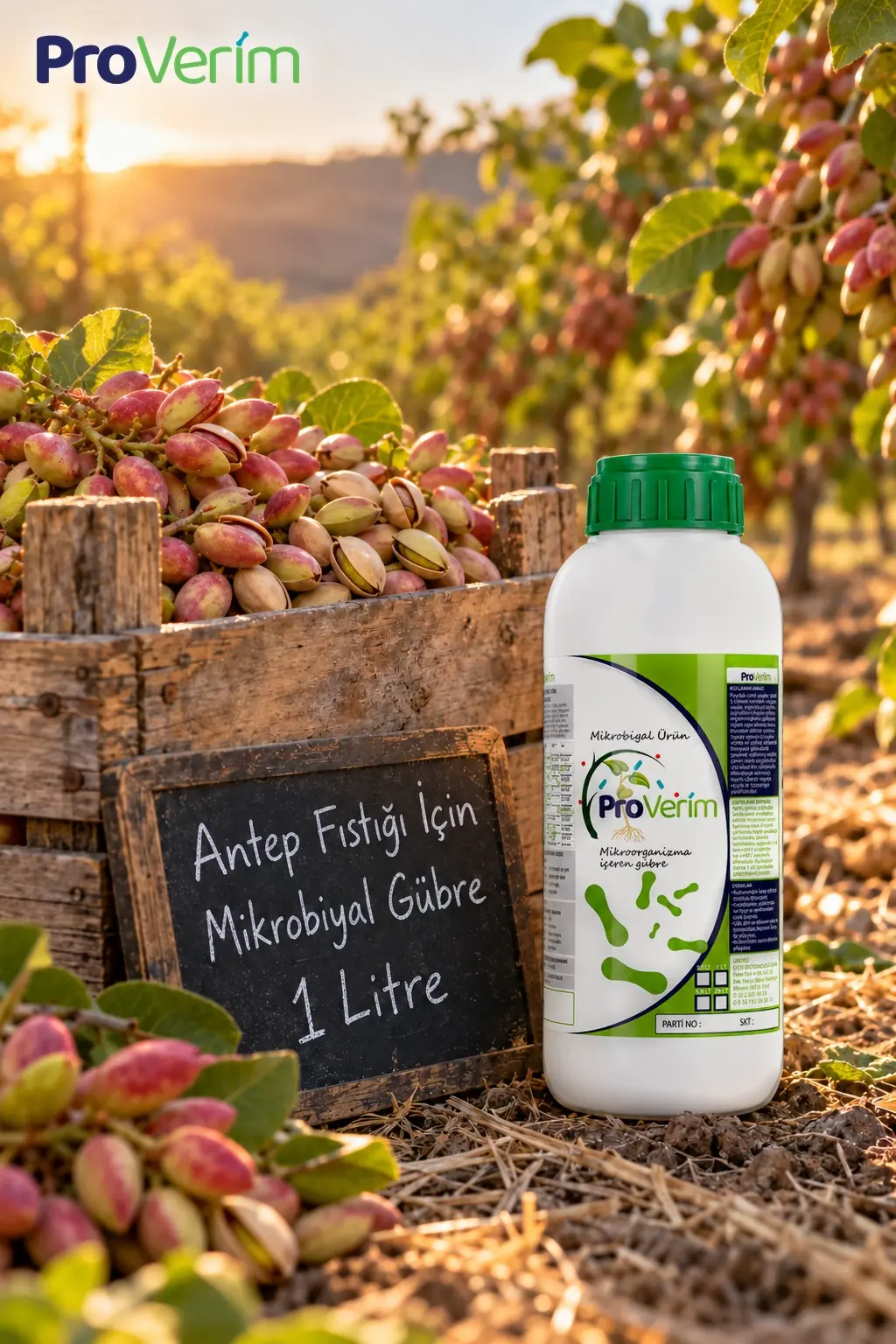 Antep Fıstığı için Mikrobiyal Gübre