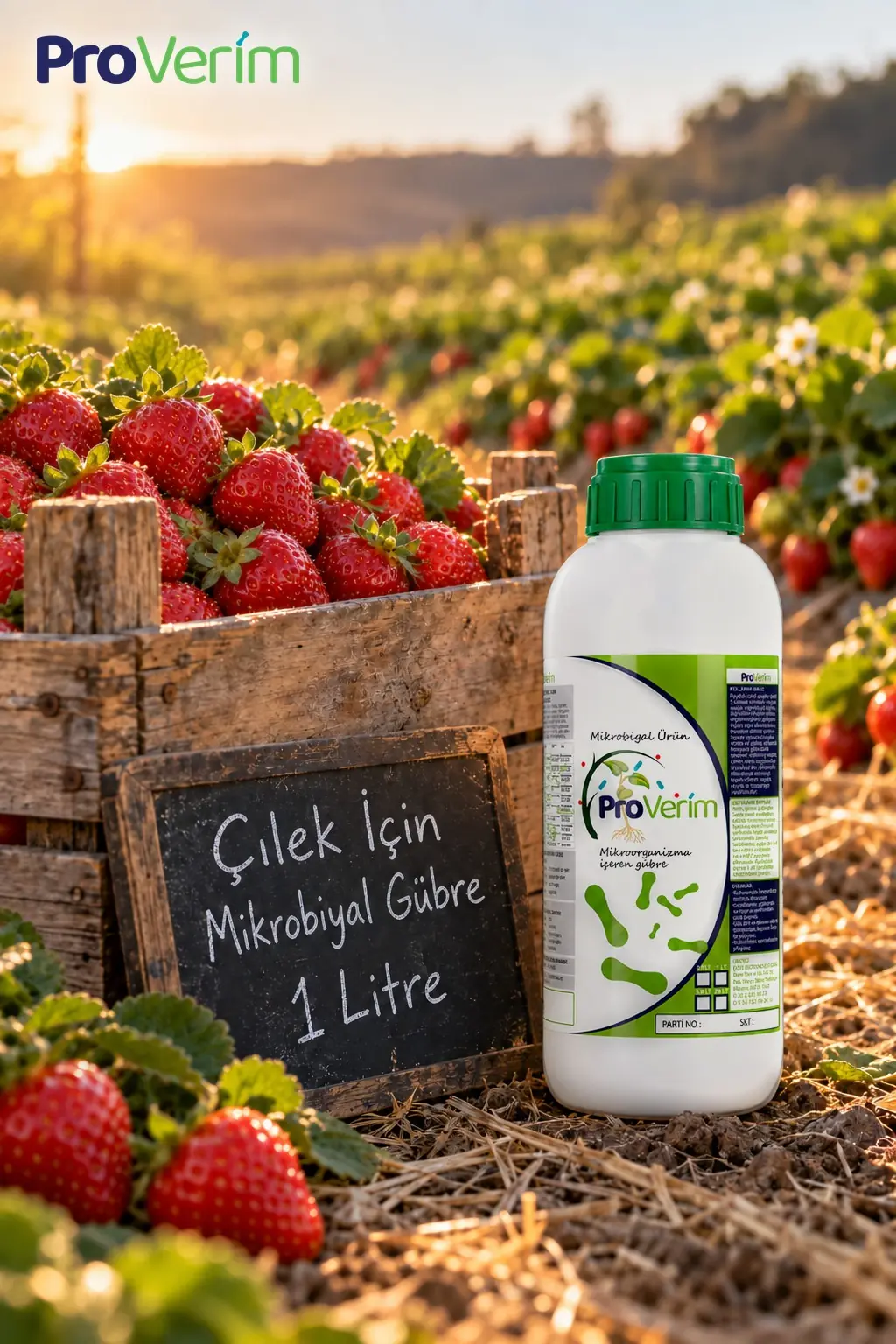 Çilek için Mikrobiyal Gübre
