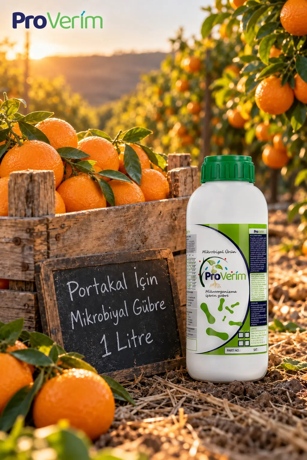 Portakal için Mikrobiyal Gübre