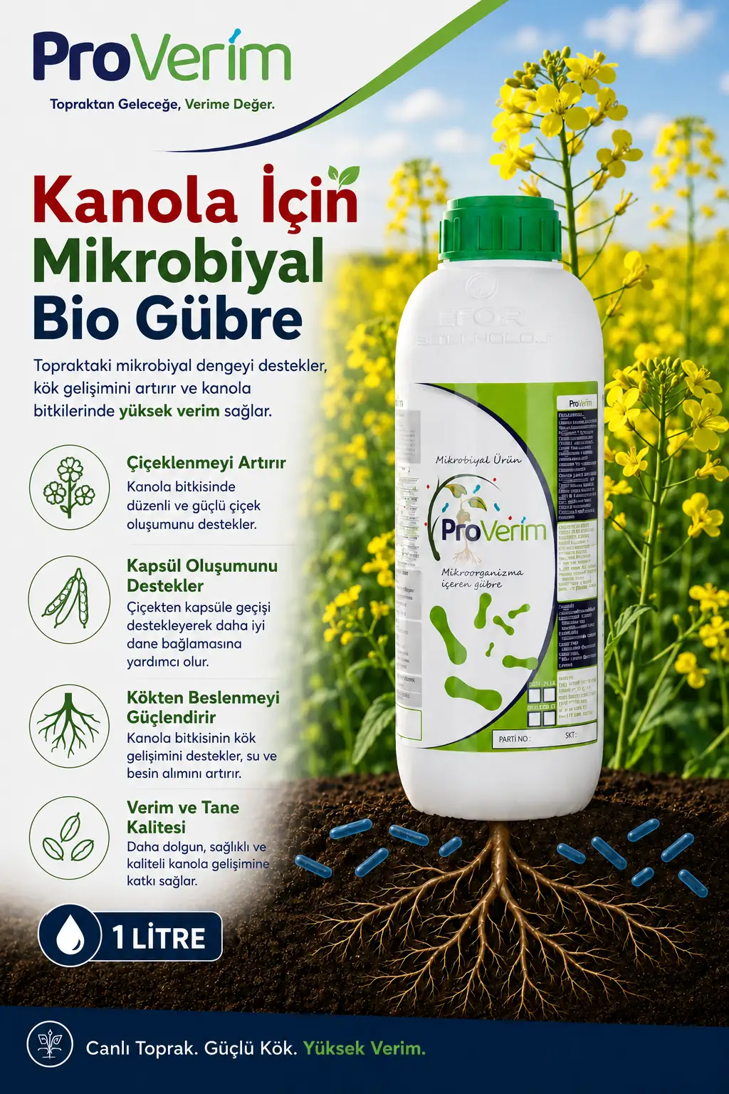 Kanola için Proverim 1 L