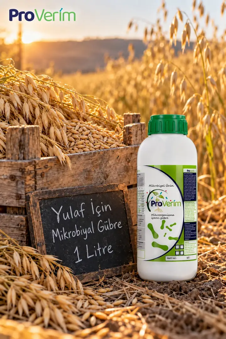 Yulaf için Mikrobiyal Gübre