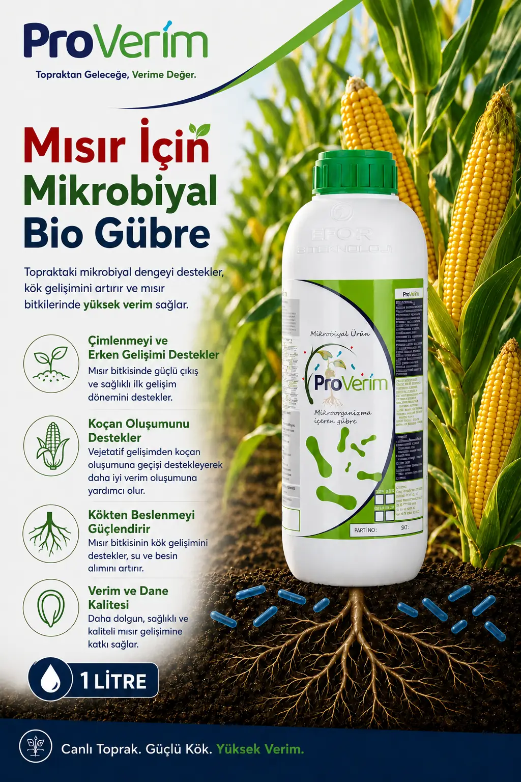 Mısır için Proverim 1 L