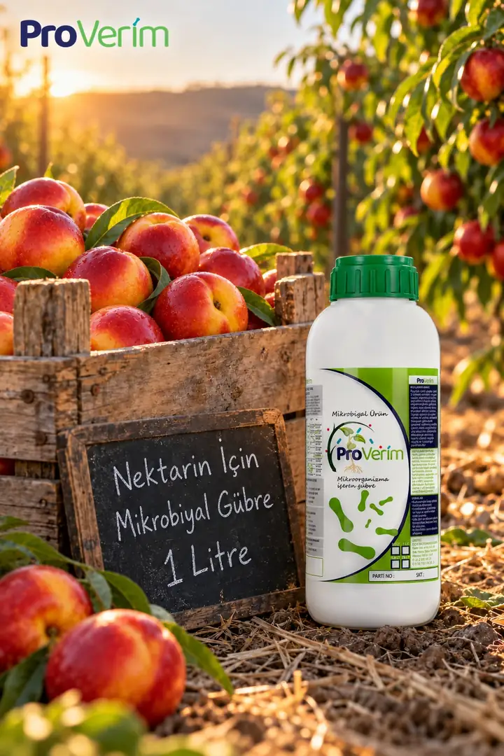 Nektarin için Mikrobiyal Gübre