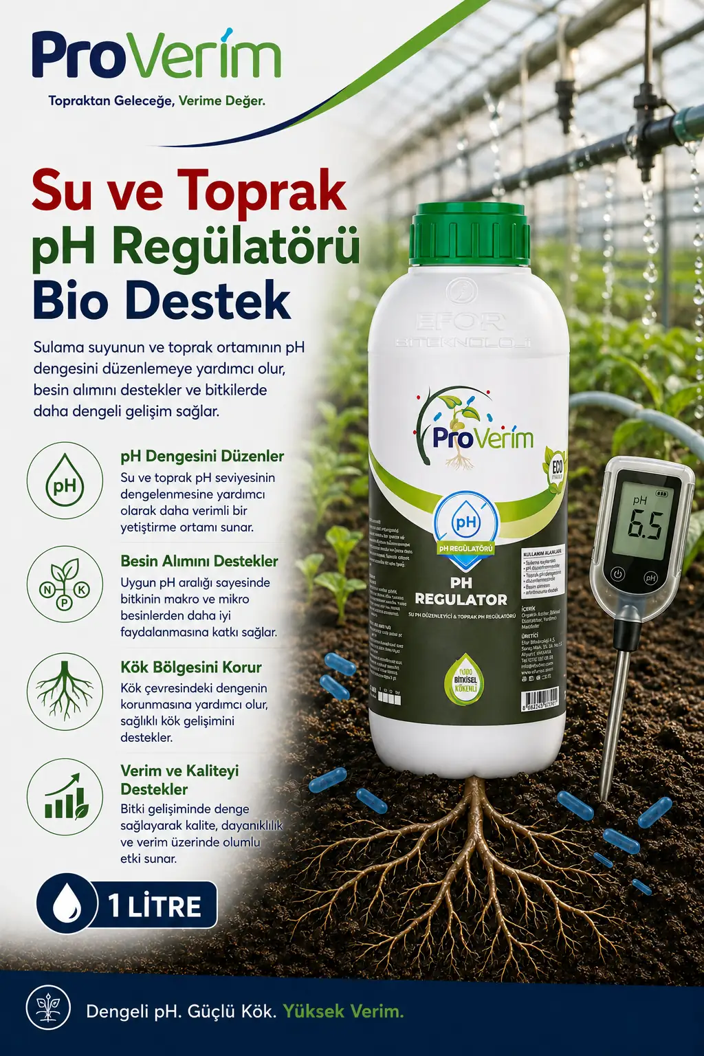 Su pH Düzenleyici ve Toprak pH Regülatörü 1 L