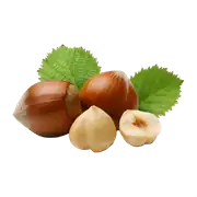 Fındık