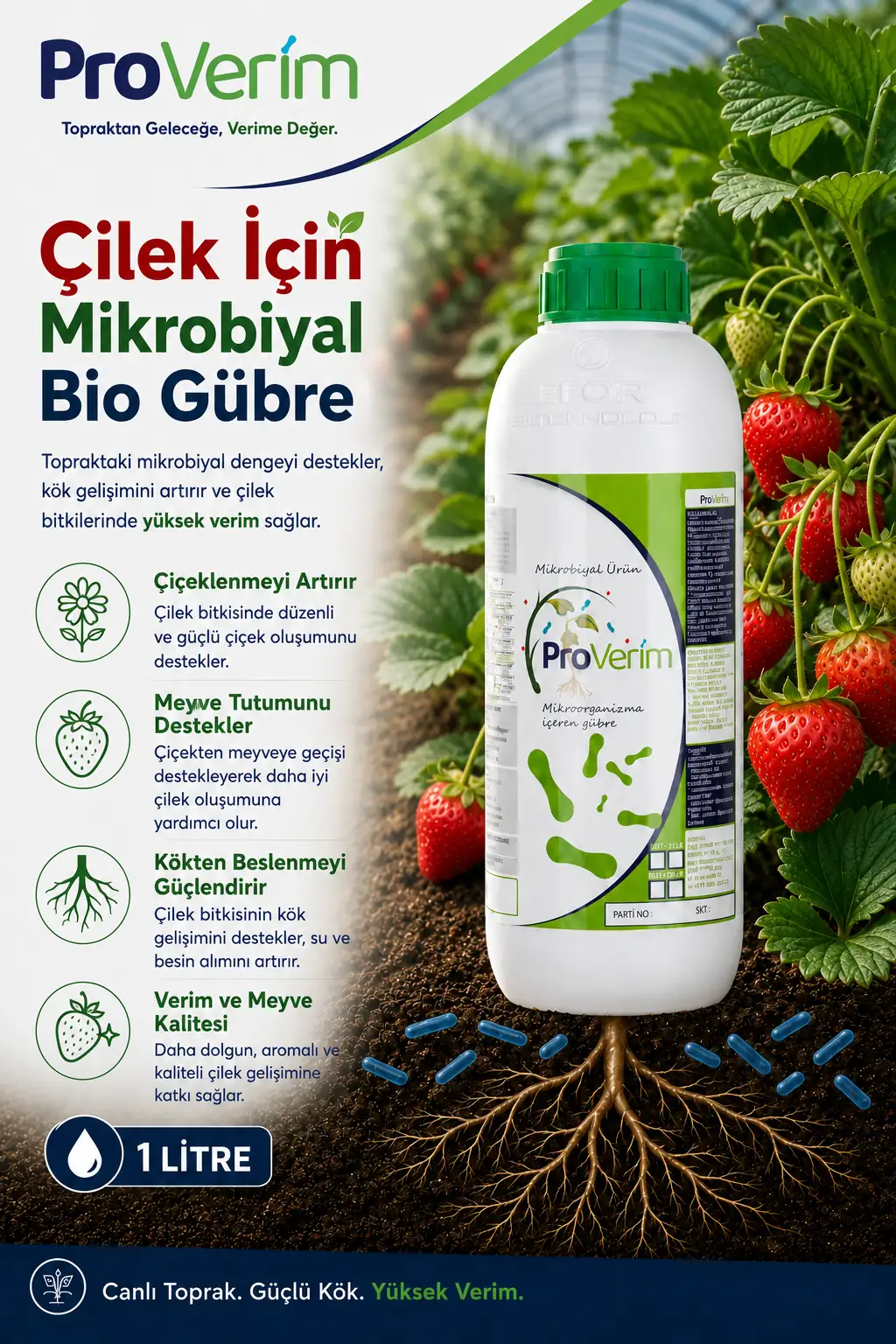 Çilek için Proverim 1 L