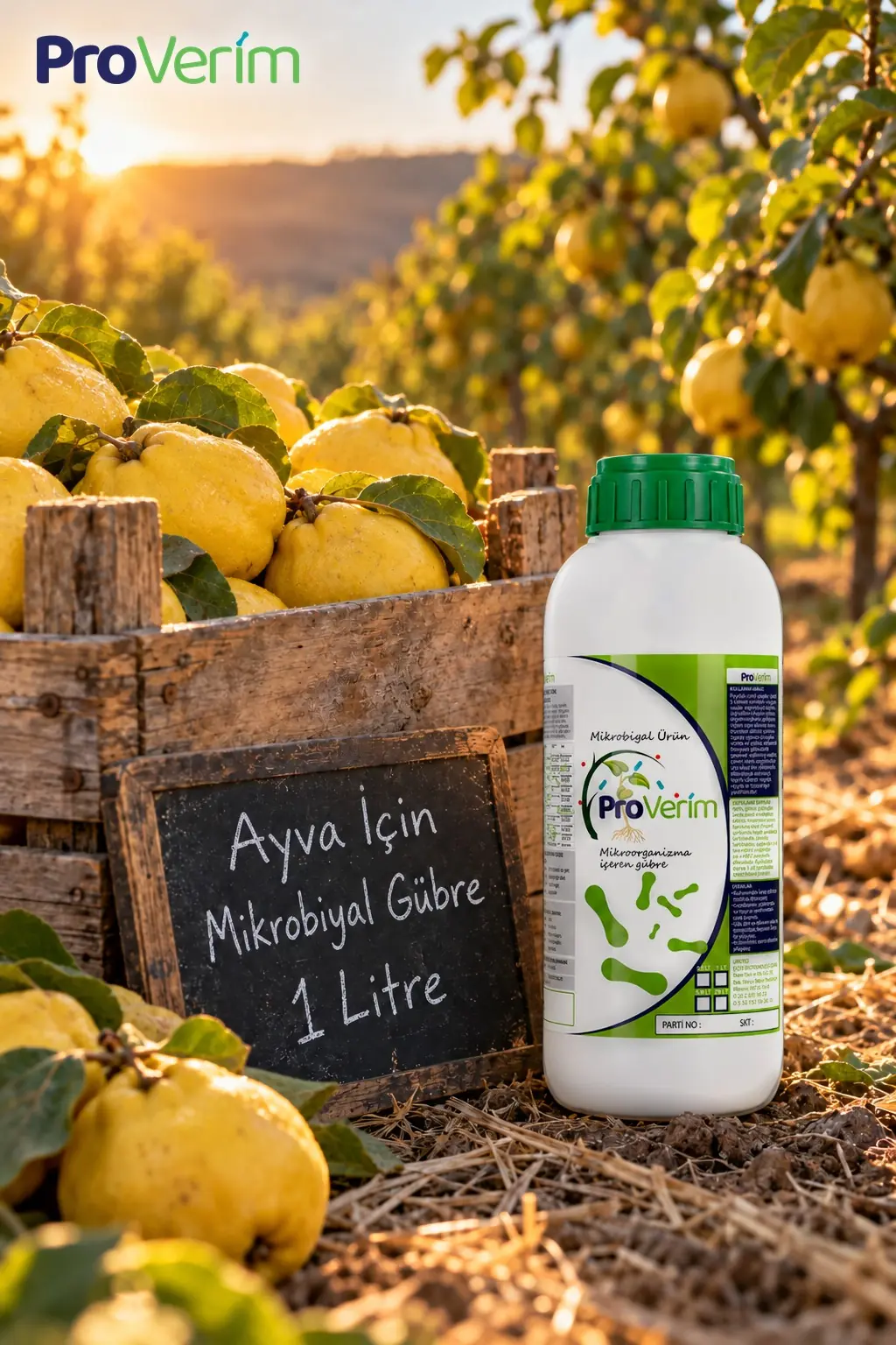 Ayva için Mikrobiyal Gübre
