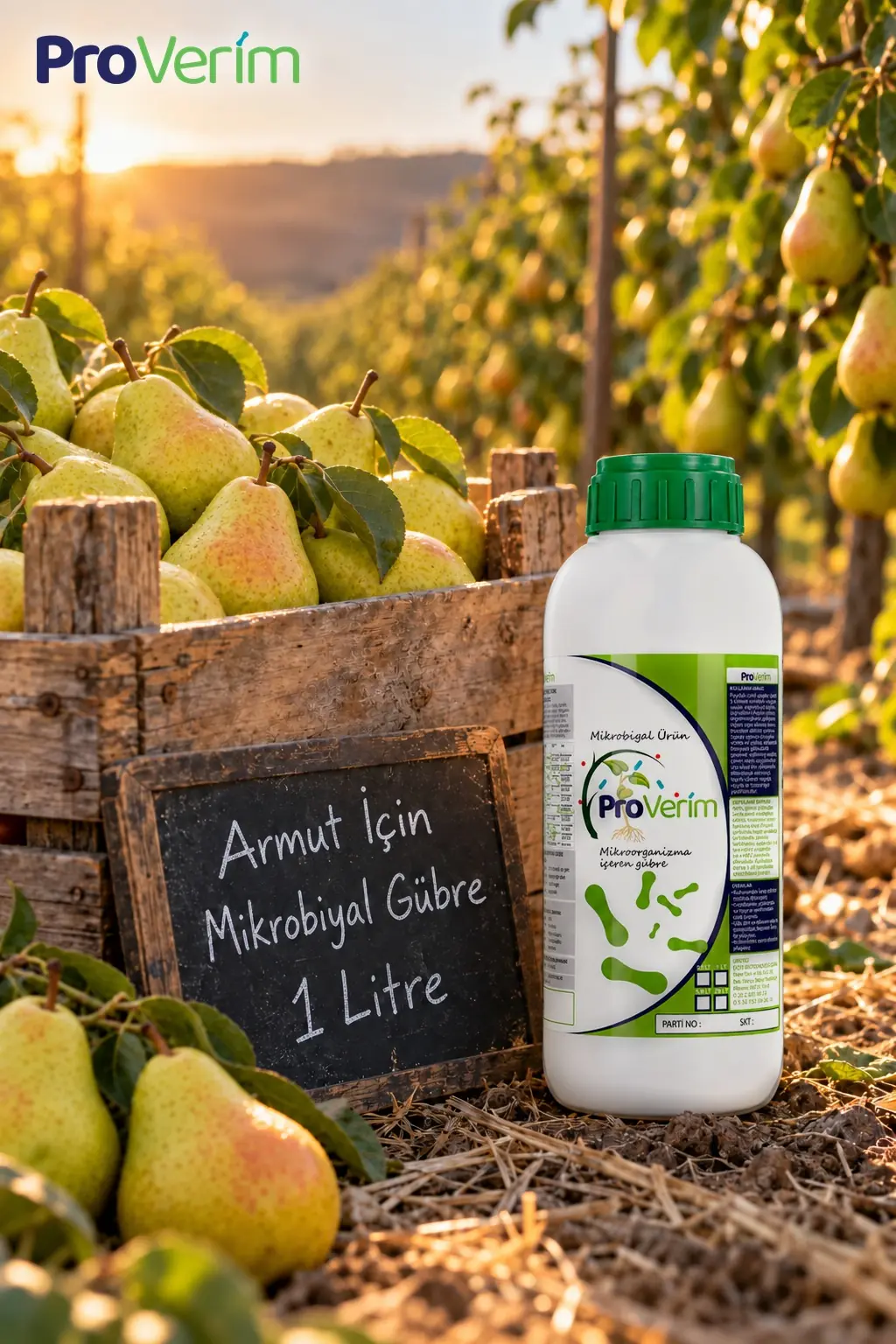 Armut için Mikrobiyal Gübre