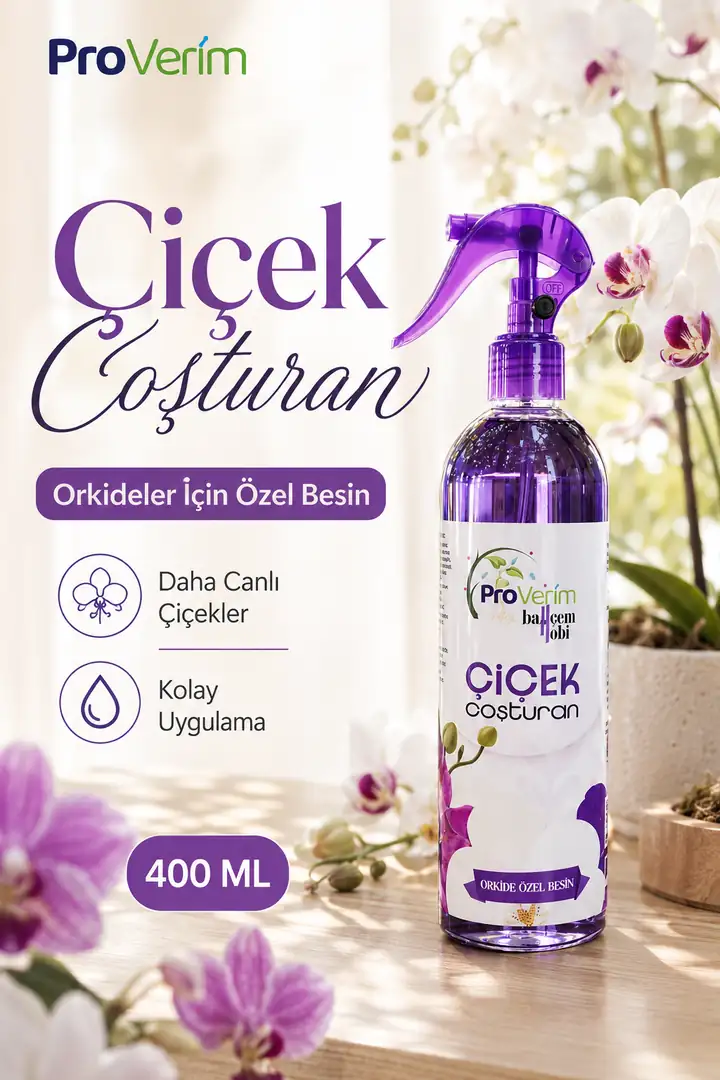 Orkide Besini
