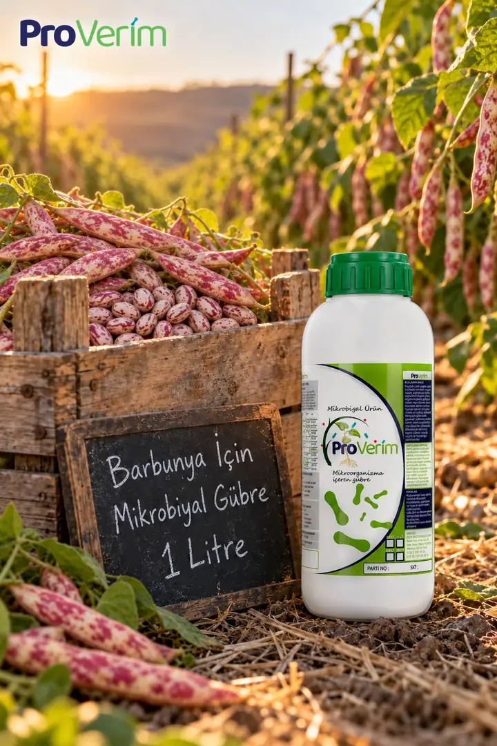 Barbunya için Mikrobiyal Gübre