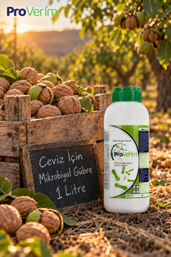 Ceviz için Mikrobiyal Gübre