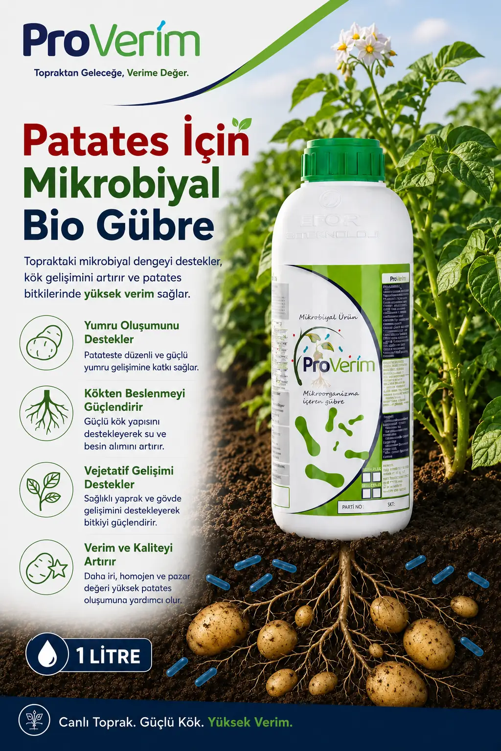 Patates için Proverim 1 L