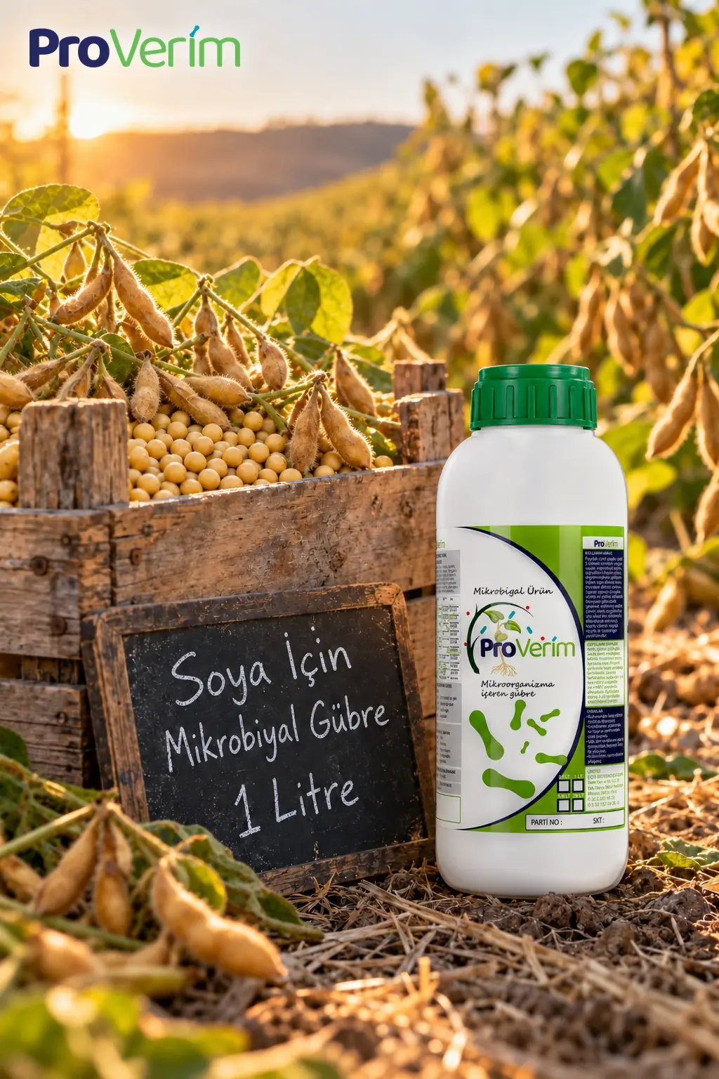 Soya için Mikrobiyal Gübre