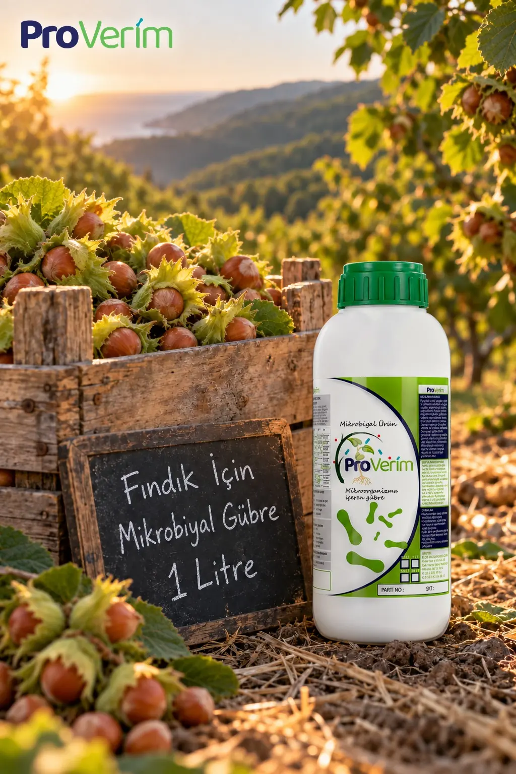 Fındık için Mikrobiyal Gübre