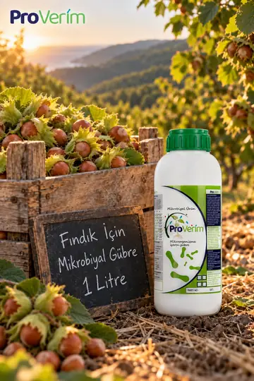 Fındık için Proverim mikrobiyal gübre