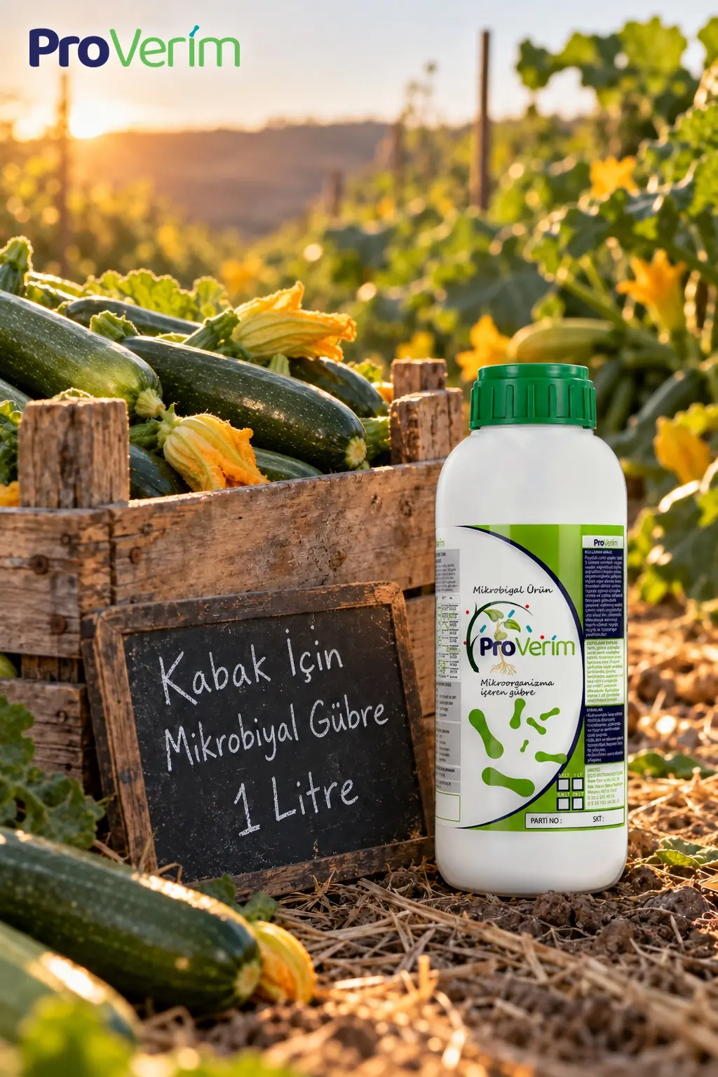 Kabak için Mikrobiyal Gübre