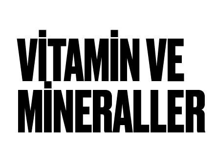 Vitamin Ve Minareller (E-Book)