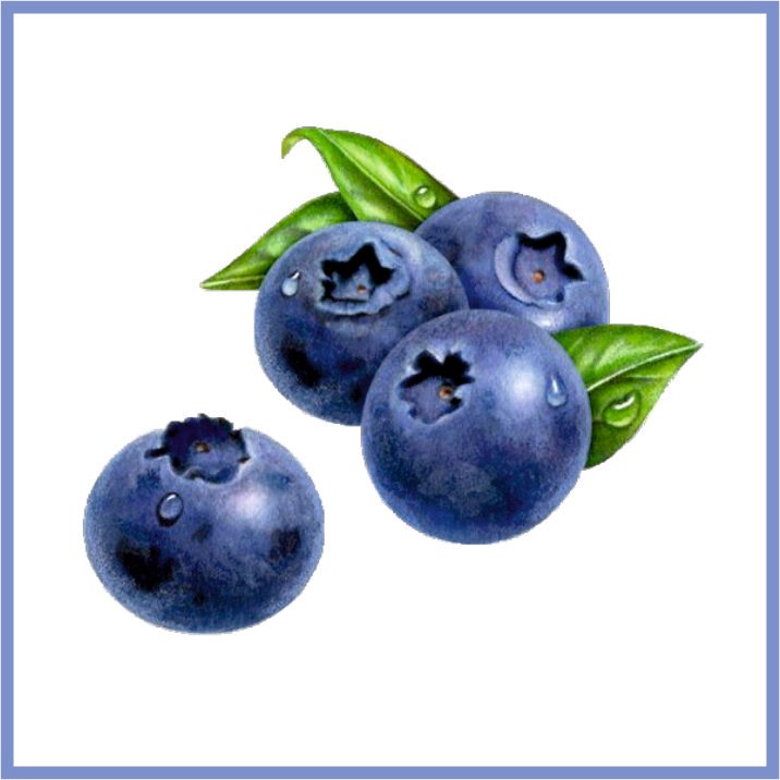 Blueberry