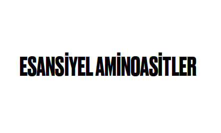 Esansiyel Amino Asitler (E-Book)