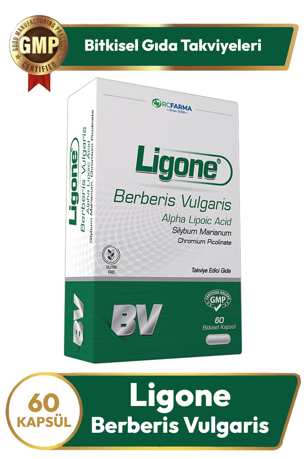 Ligone Berberis Vulgaris 60 Kapsül