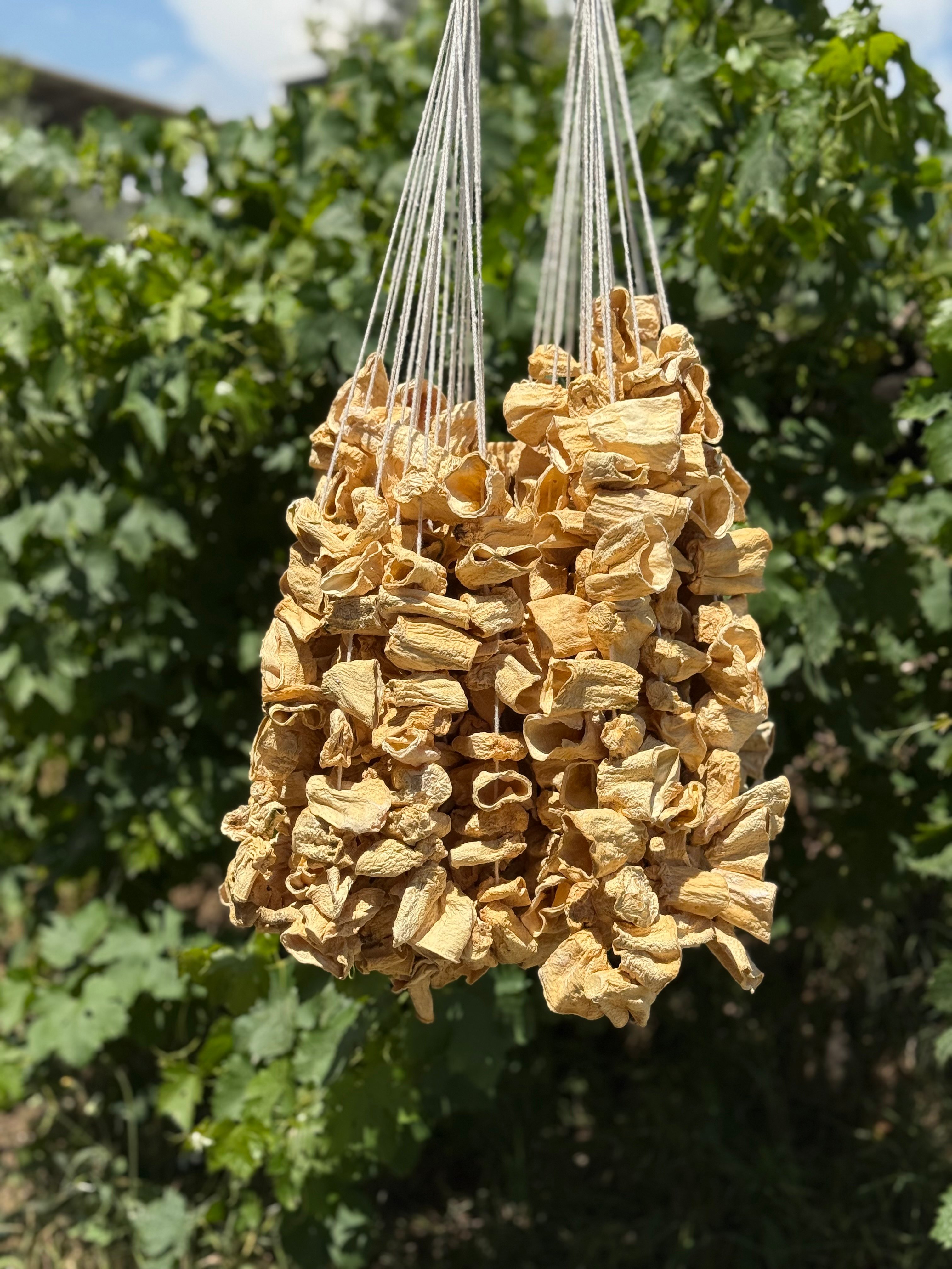 Dolmalık kuru Kabak 25li (20 adet)
