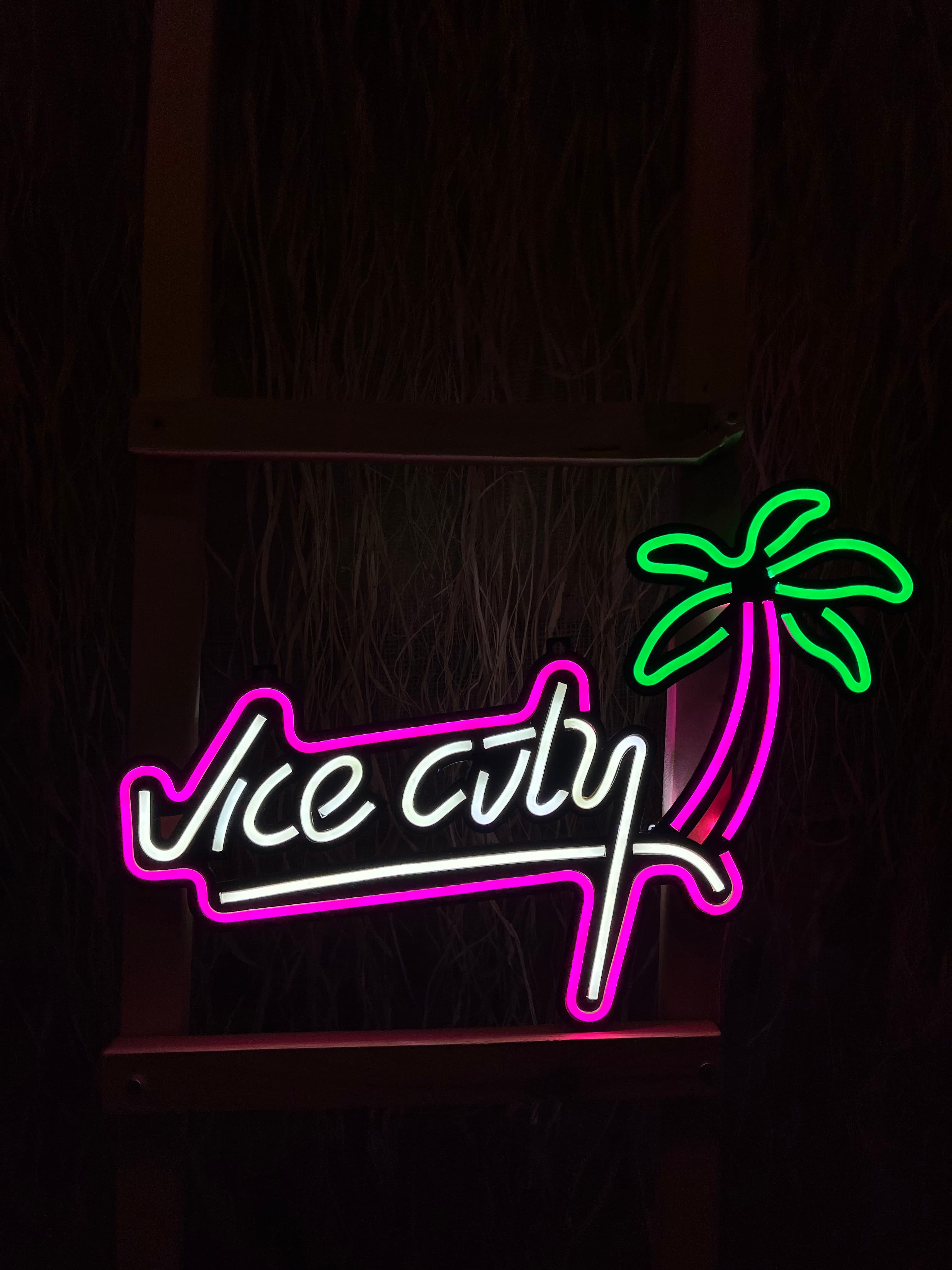 VİCE CİTY NEON