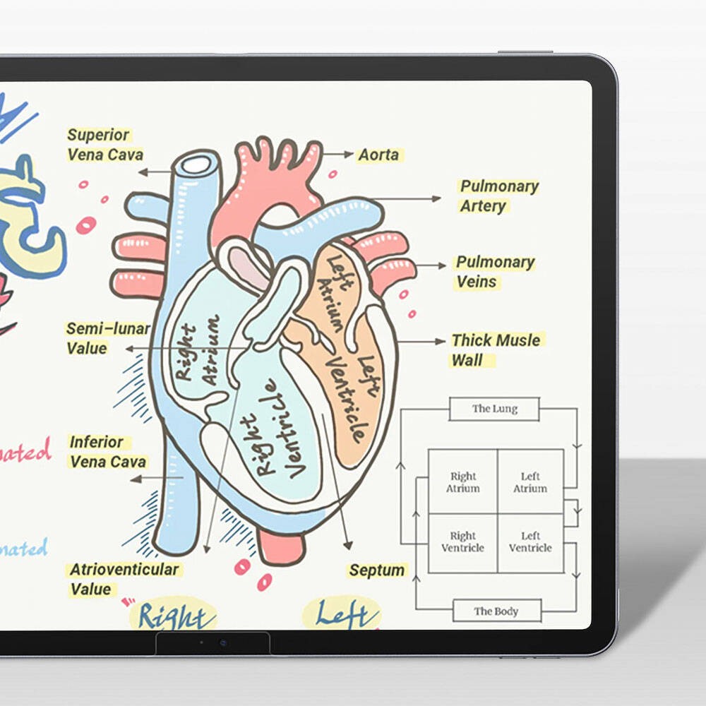 iPad Pro 13 2024 Kağıt Hisli Benks Mat Paper-Like Ekran Koruyucu