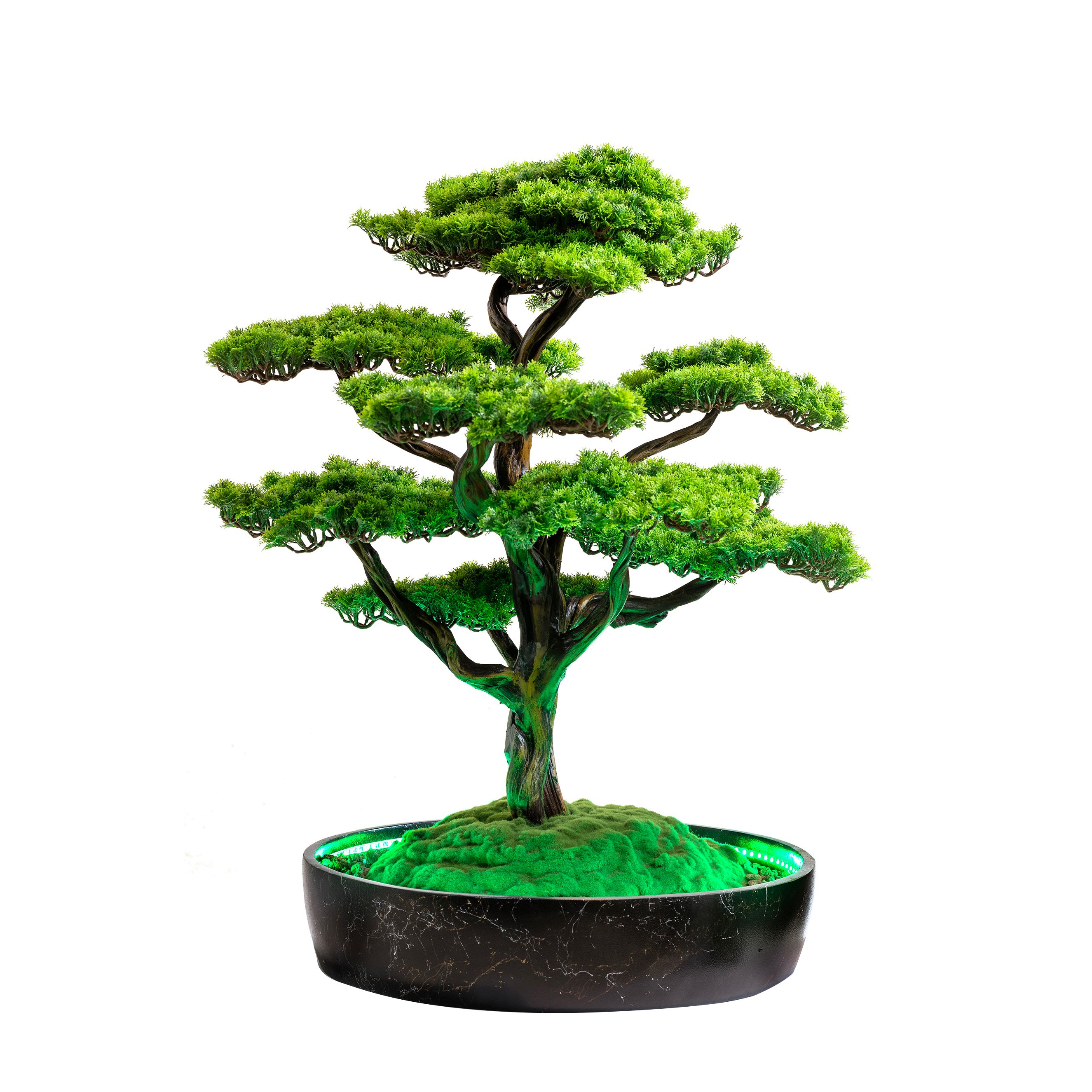 Işıklandırılmış Bonsai Ağacı - 2