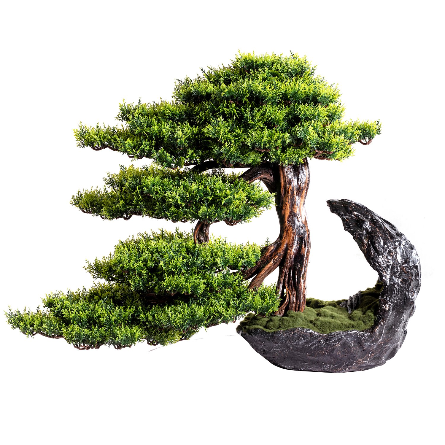 Deimos Bonsai