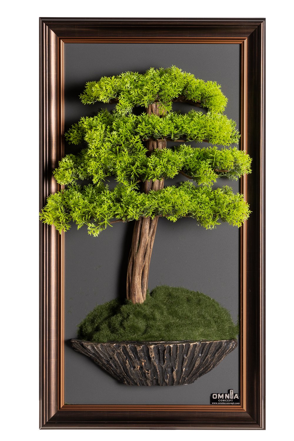 Bonsai Tableau-6B