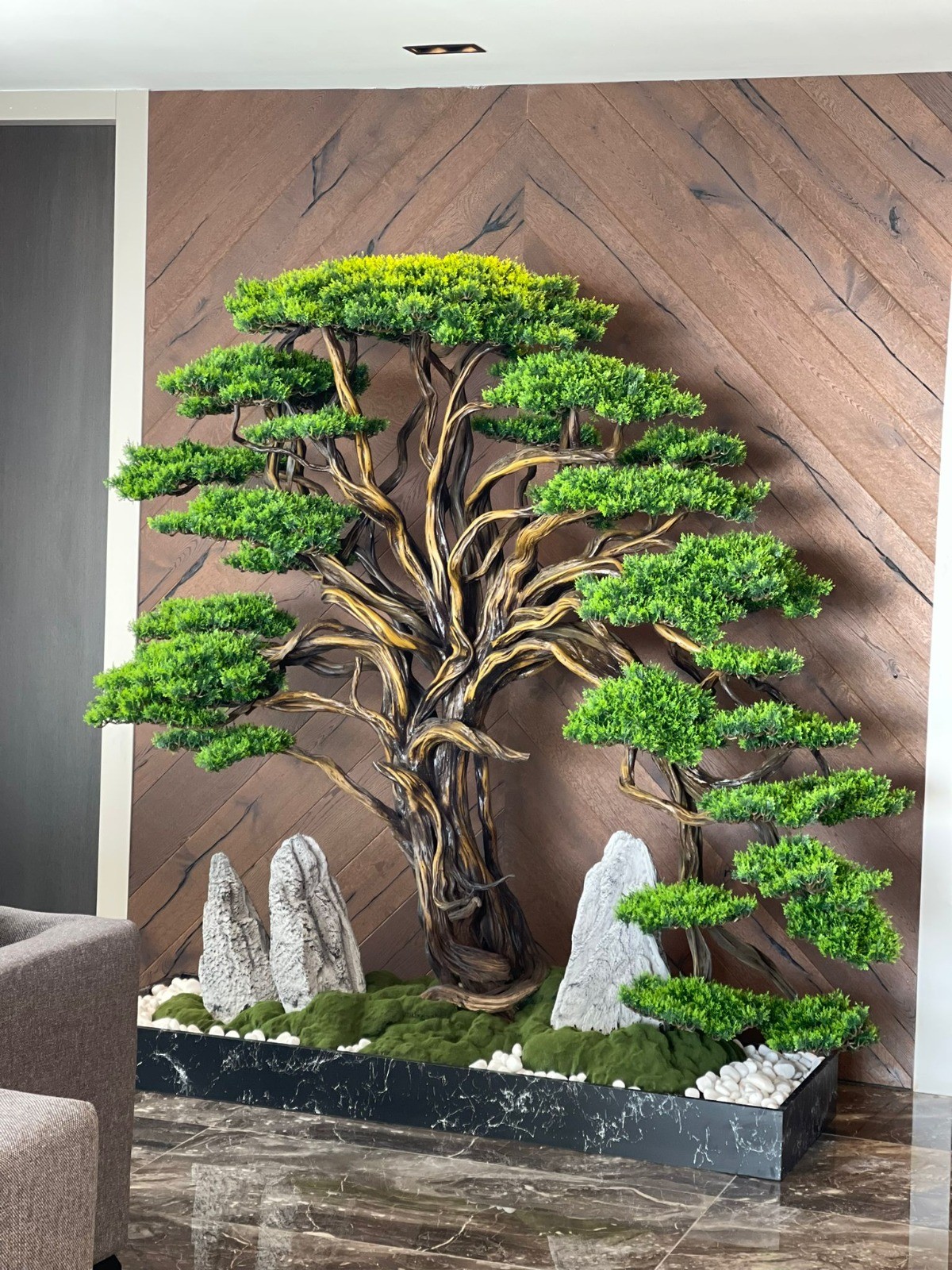 Deadwood Bonsai Tree