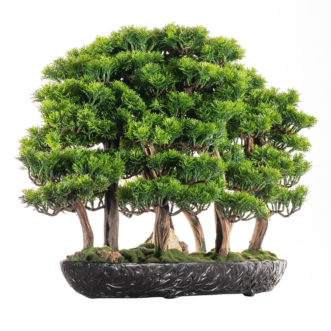 Navis Bonsai Garden