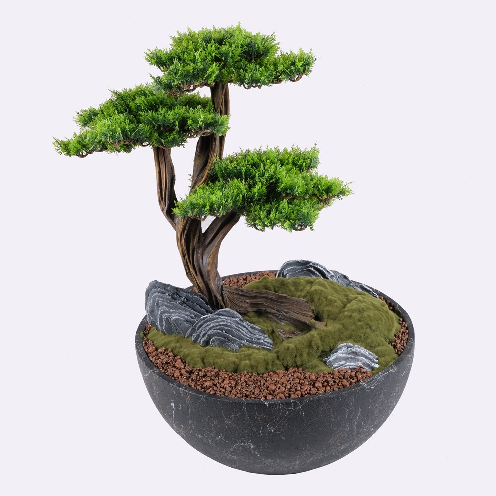 Avior Bonsai - 6