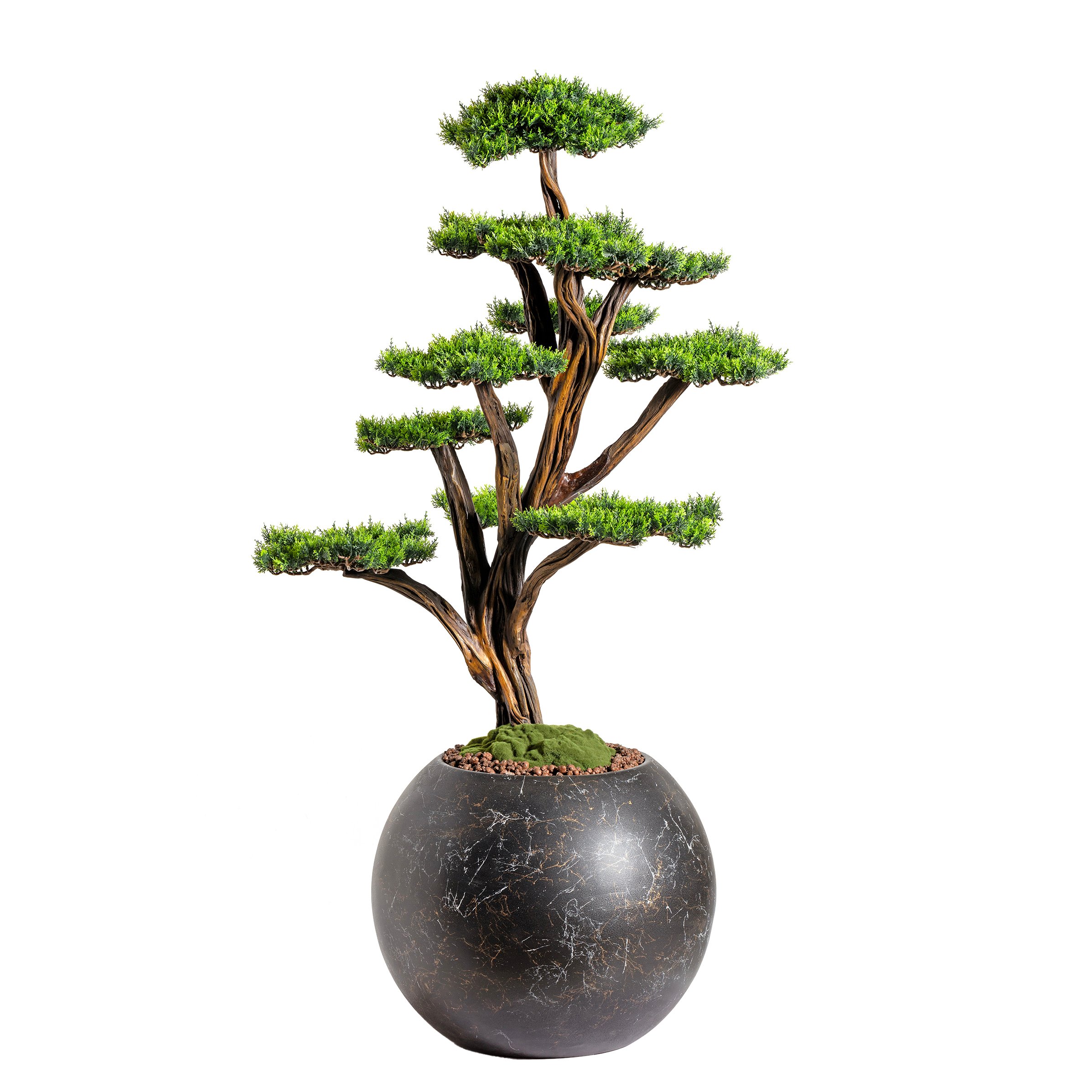 Mira Bonsai - 1