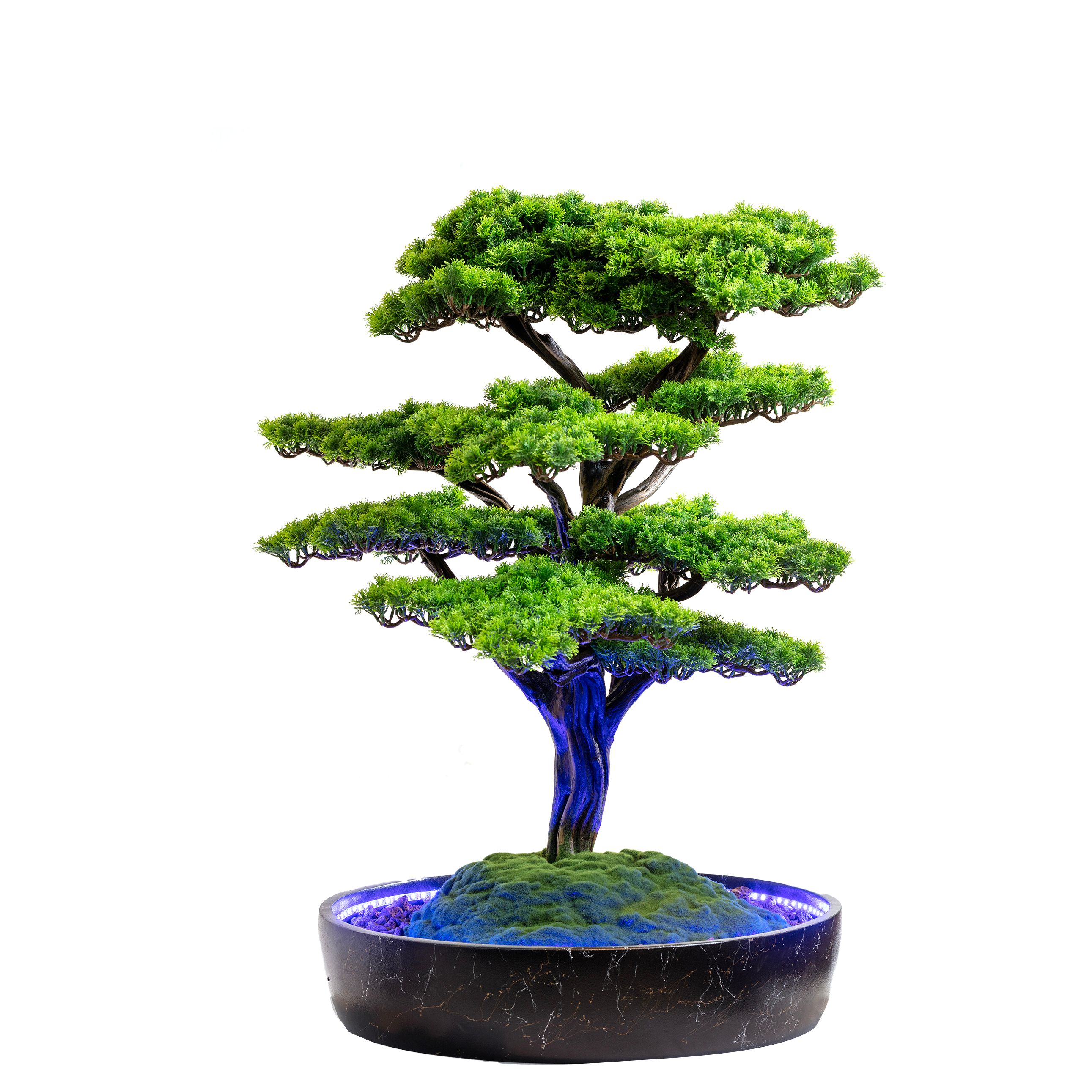 Işıklandırılmış Bonsai Ağacı - 2