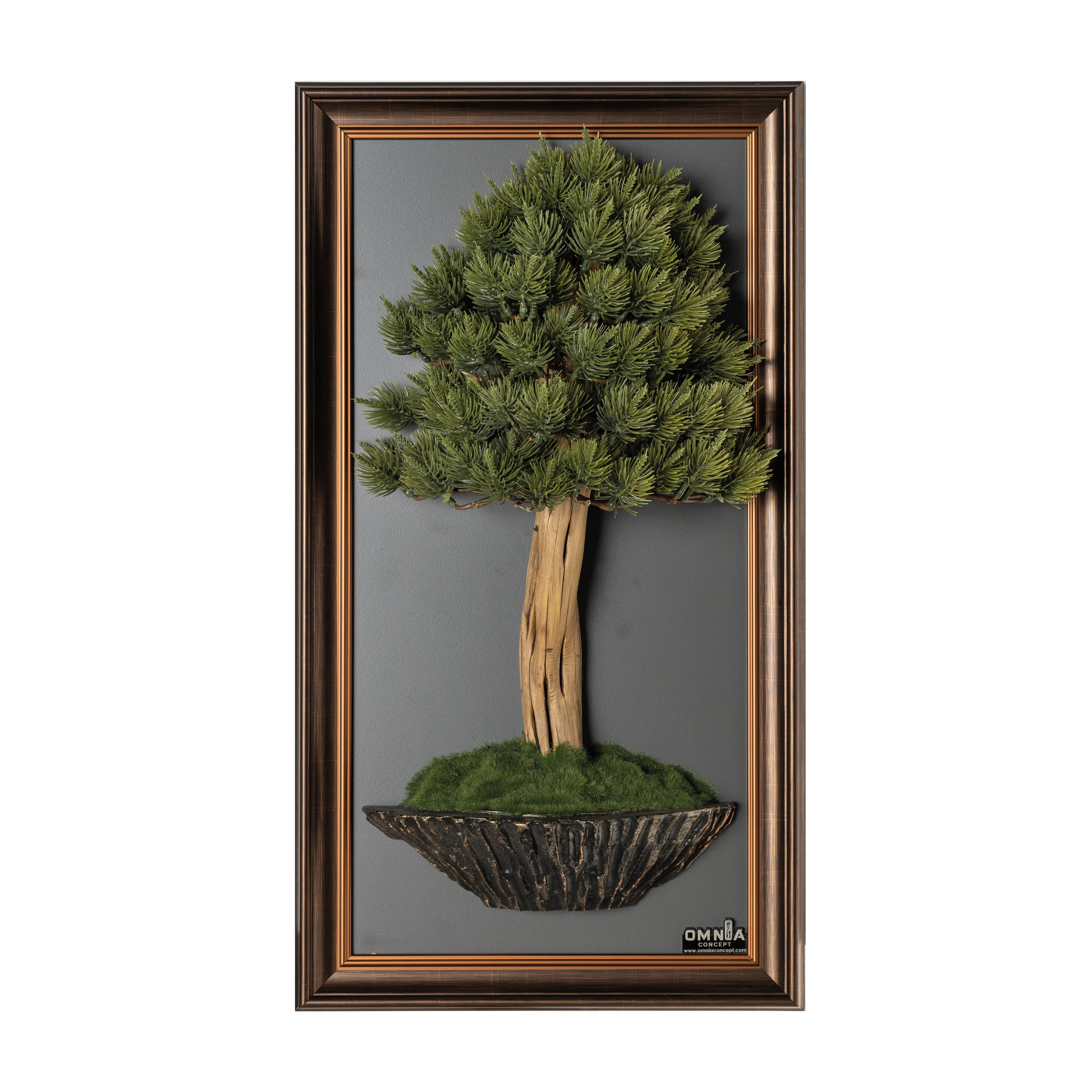 Bonsai Tableau-4B