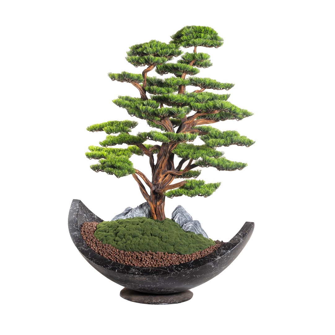 Adhara Thuja