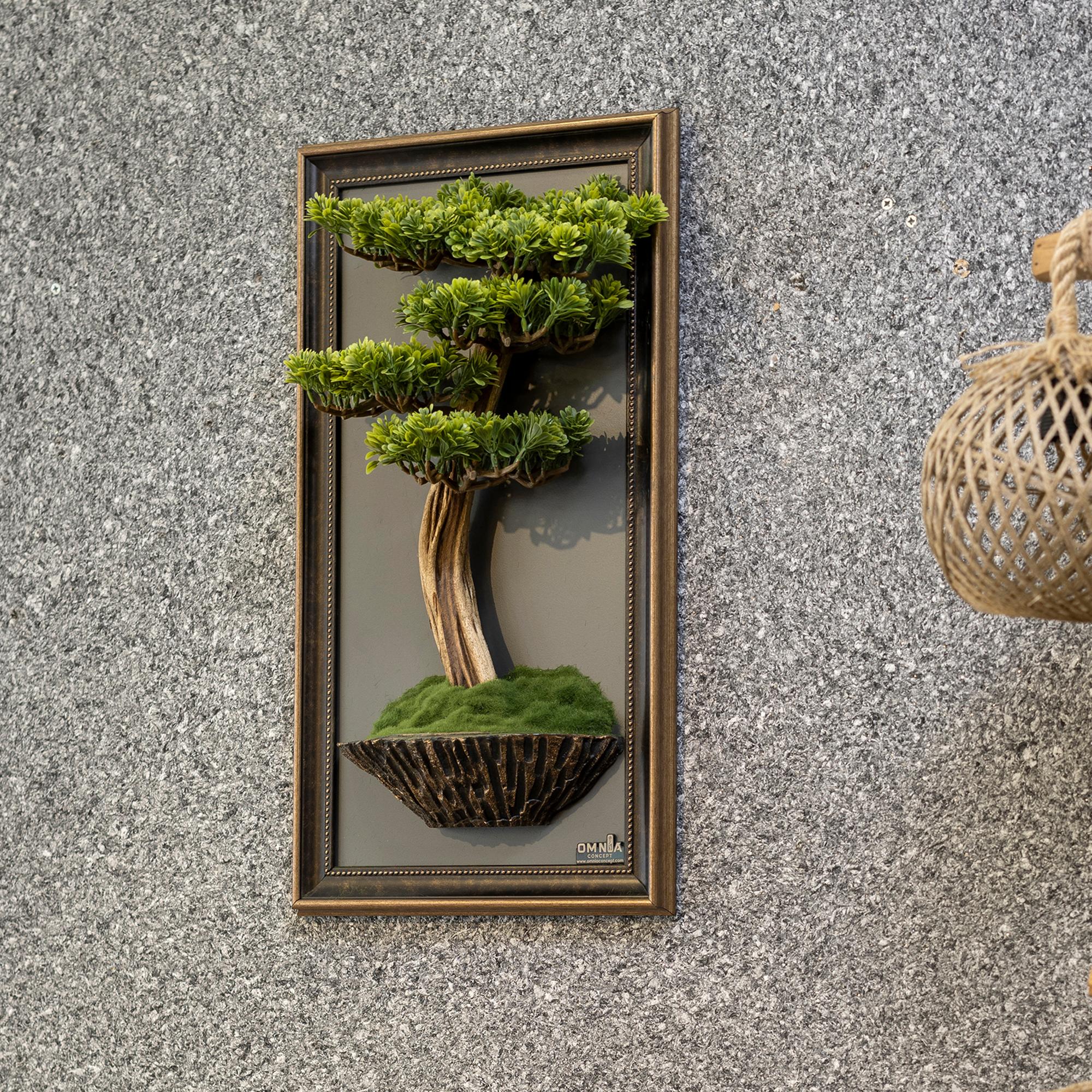 Bonsai Tableau-5