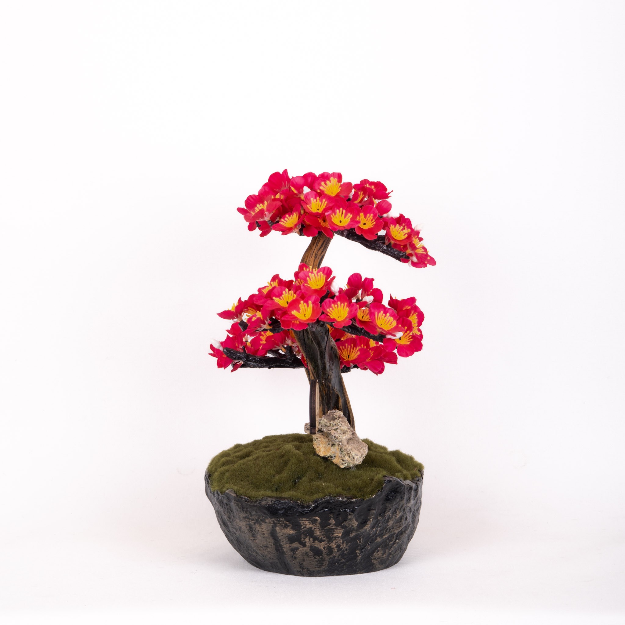 Calipso Bonsai-2-1