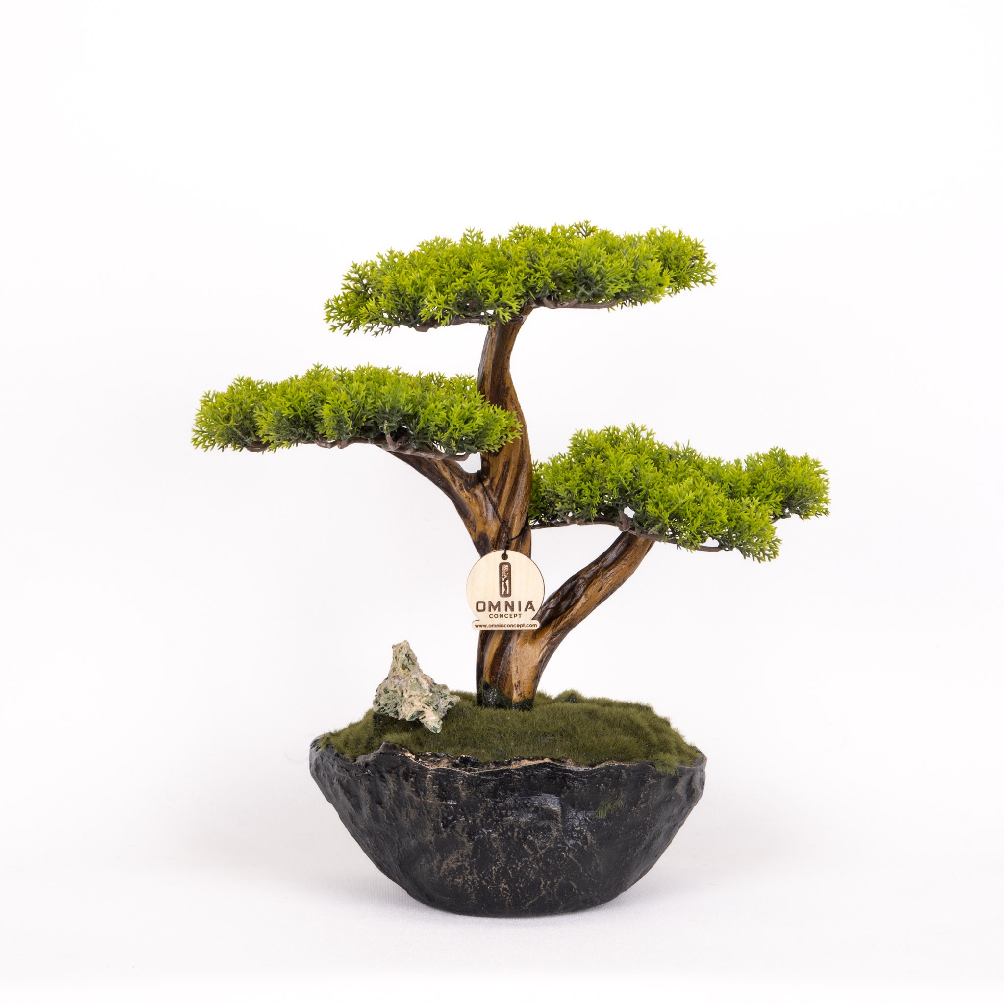 Calipso Bonsai-6
