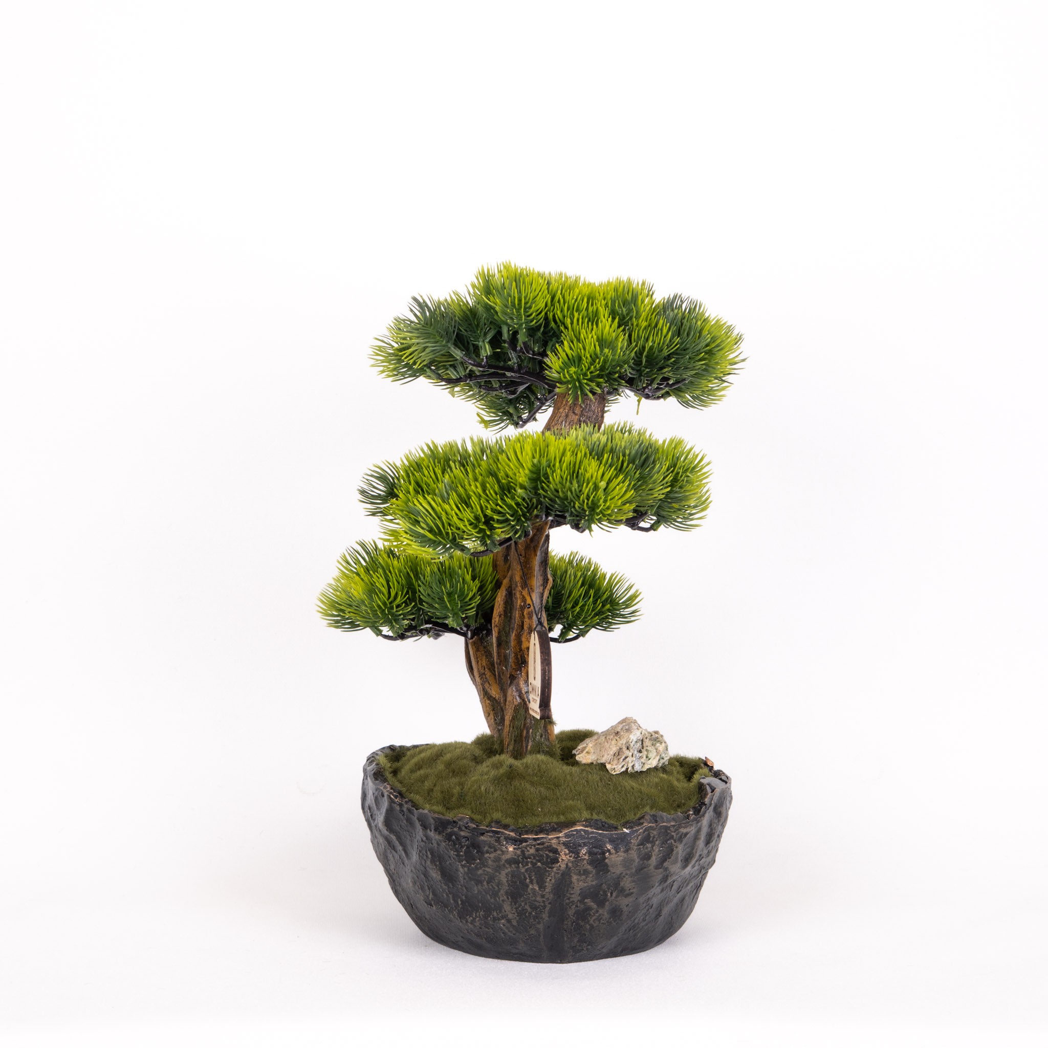 Calipso Bonsai-3