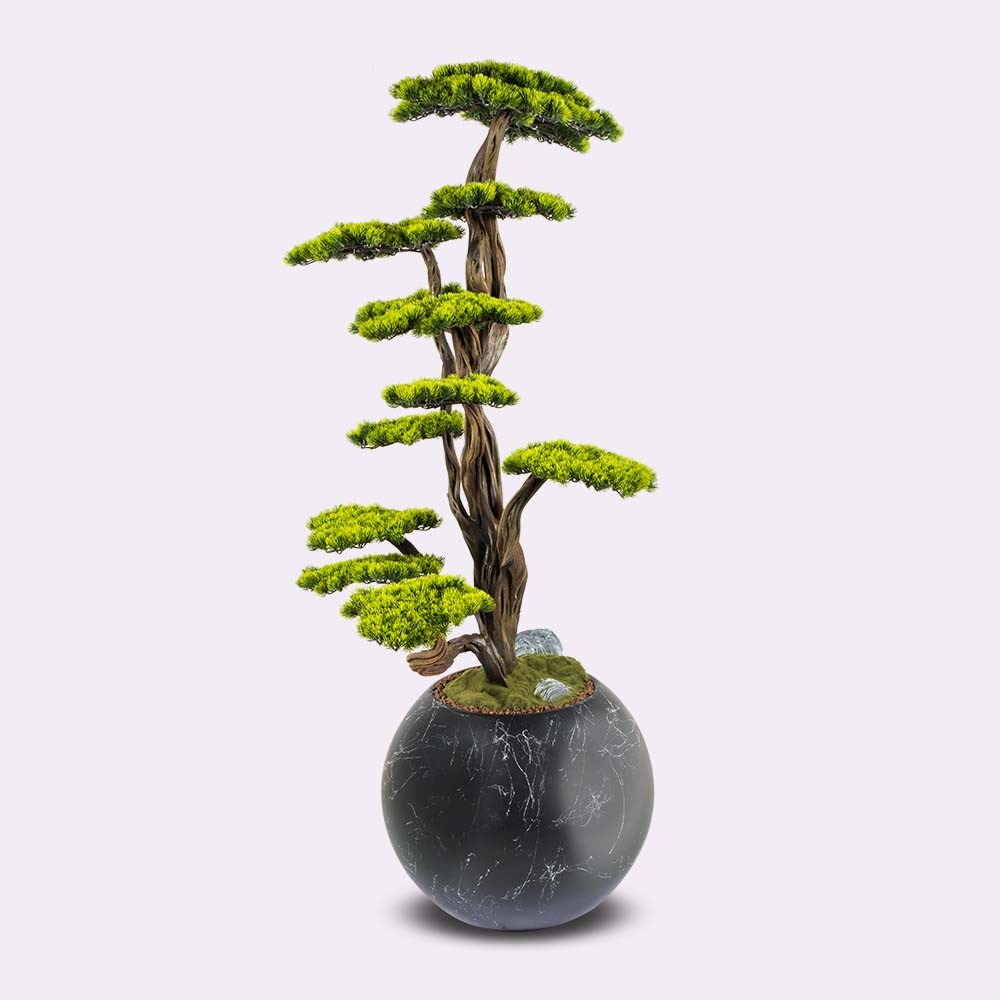 Mira Bonsai - 6