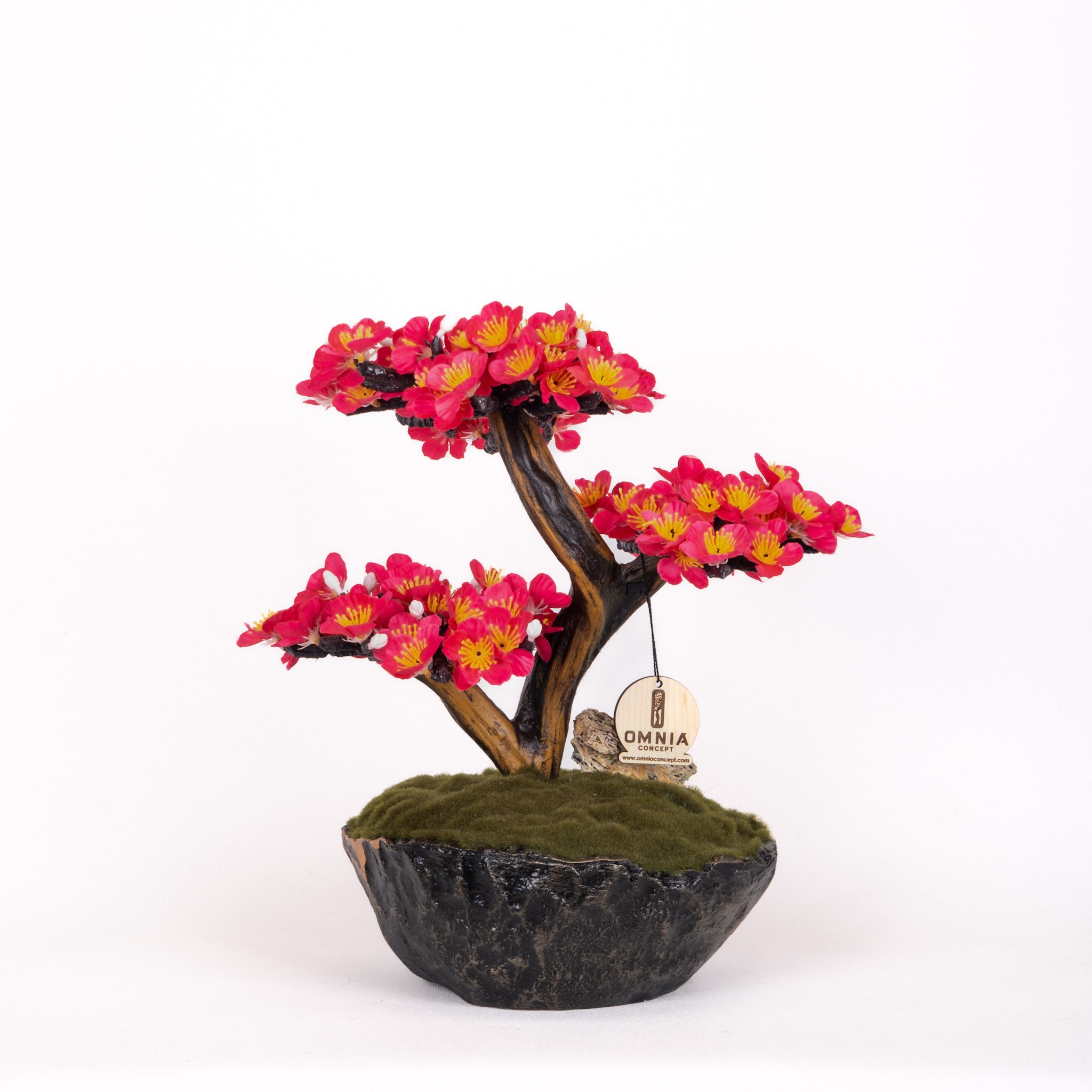 Calipso Bonsai-2-1