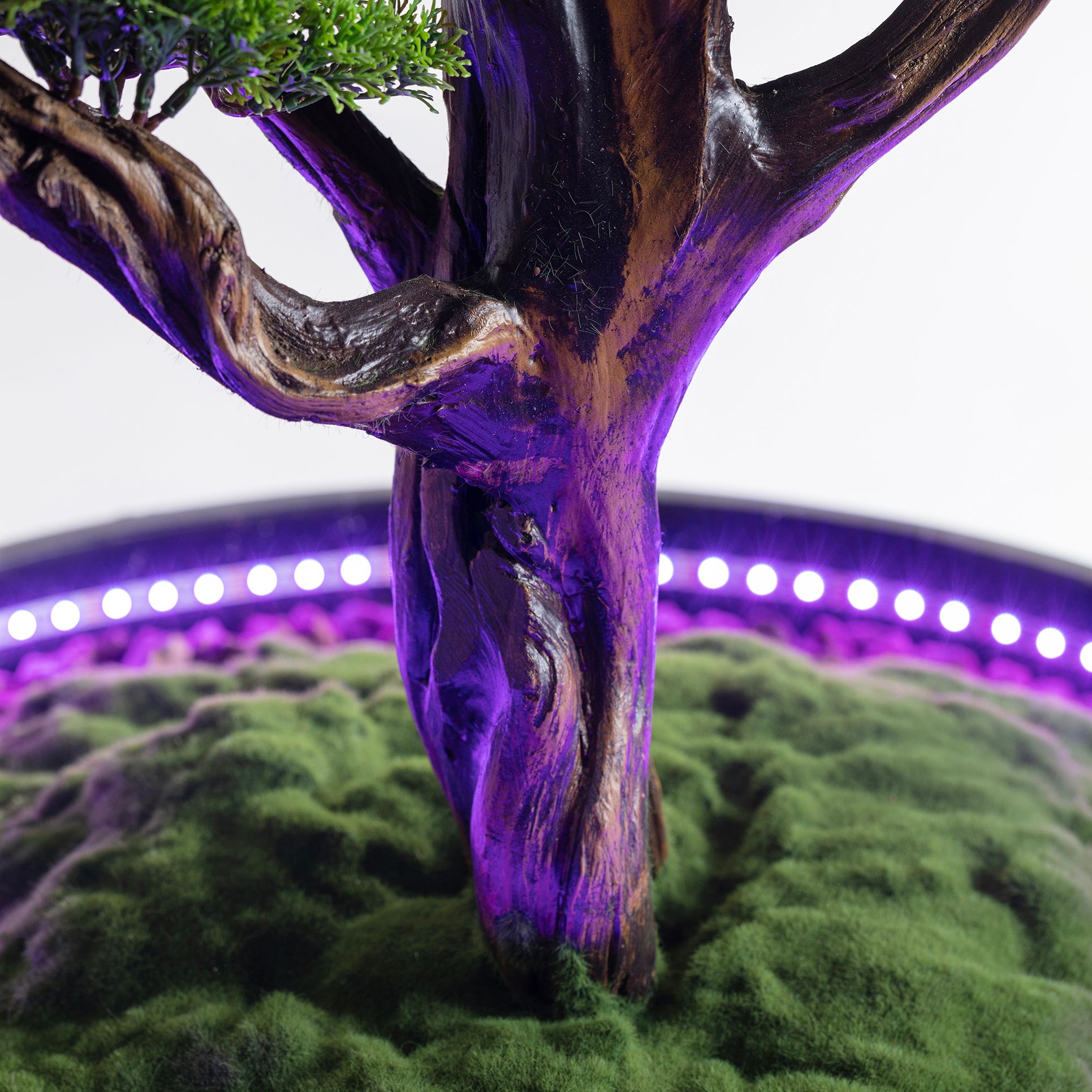 Işıklandırılmış Bonsai Ağacı - 2