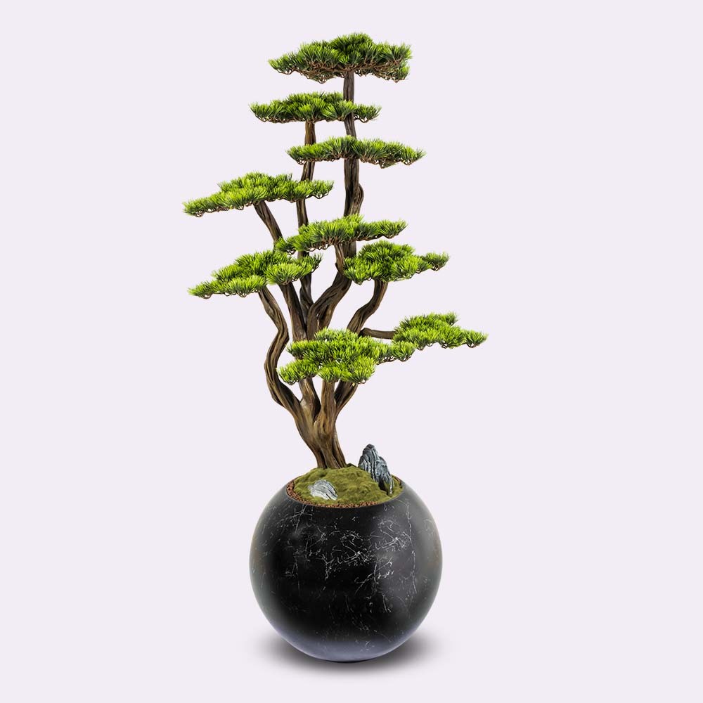 Mira Bonsai - 4