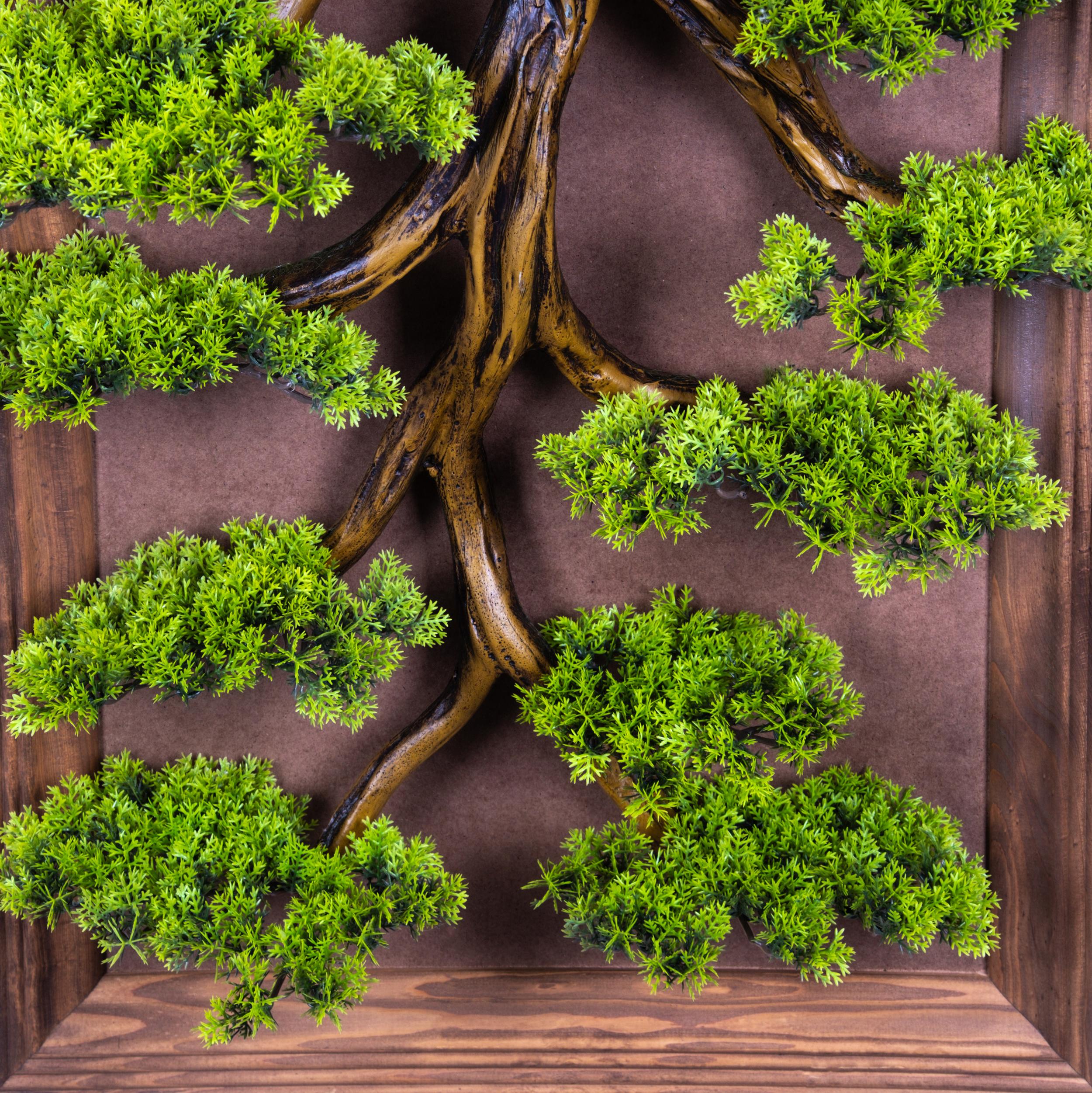 Bonsai Tableau Magnus-6T  -  50x100 cm
